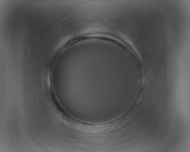 X0000053060019200507111204