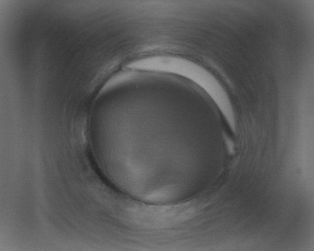 X0000053060023200507111204
