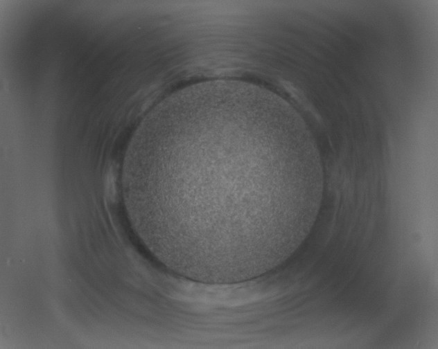 X0000053060026200507111204