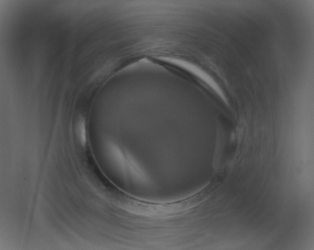 X0000053060027200507111204