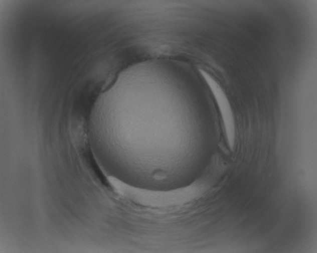 X0000053060029200507111204