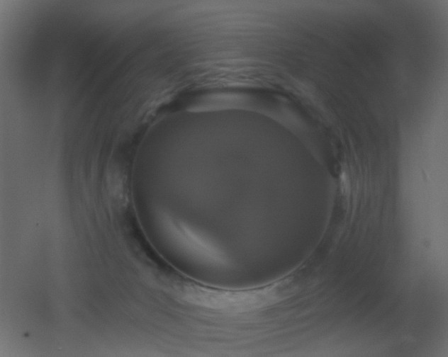 X0000053060031200507111204