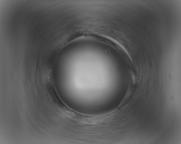 X0000053060033200507111204