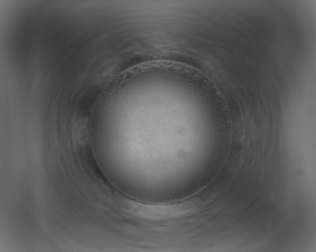 X0000053060034200507111204