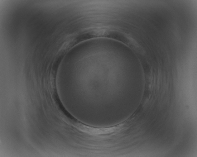 X0000053060035200507111204