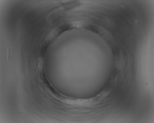 X0000053060036200507111204