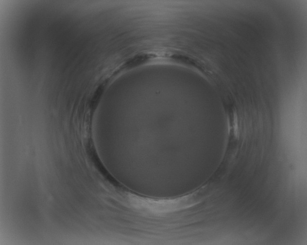 X0000053060039200507111203