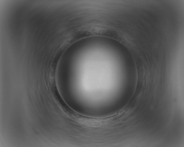 X0000053060040200507111203