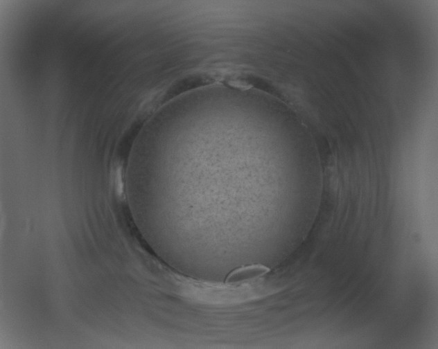 X0000053060042200507111203