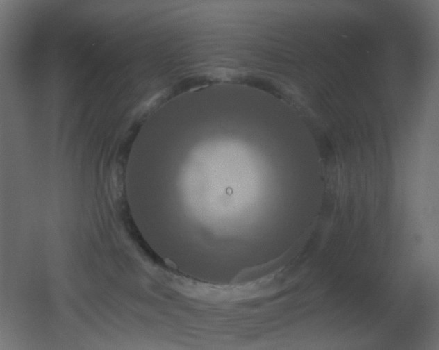 X0000053060043200507111203