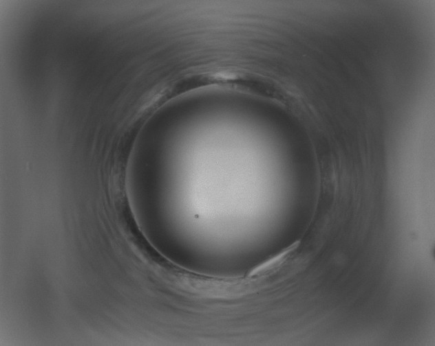 X0000053060044200507111203