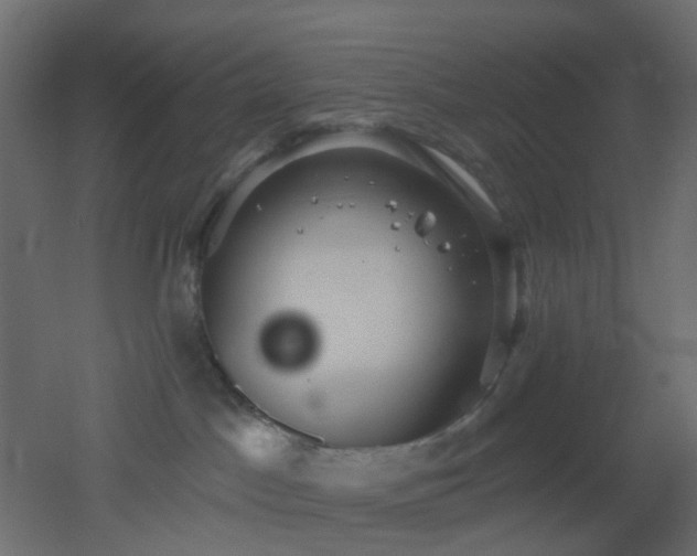 X0000053060045200507111203
