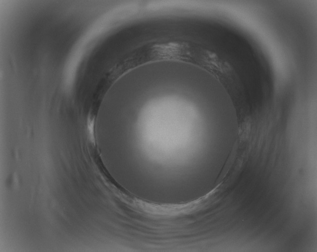 X0000053060047200507111203