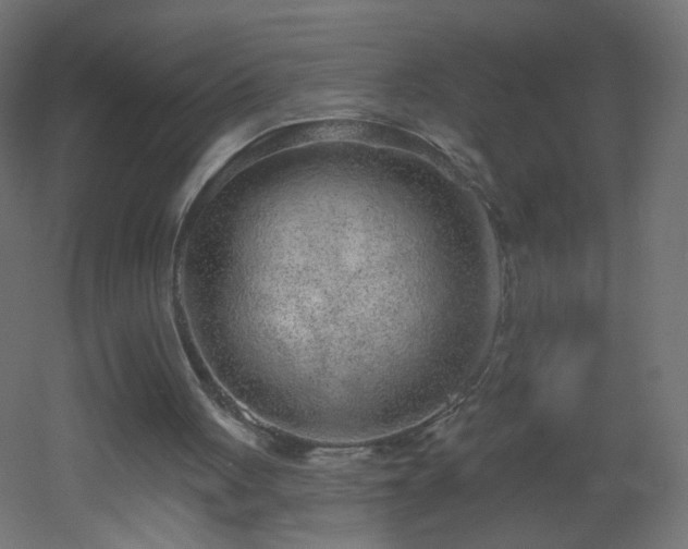 X0000053060051200507111203
