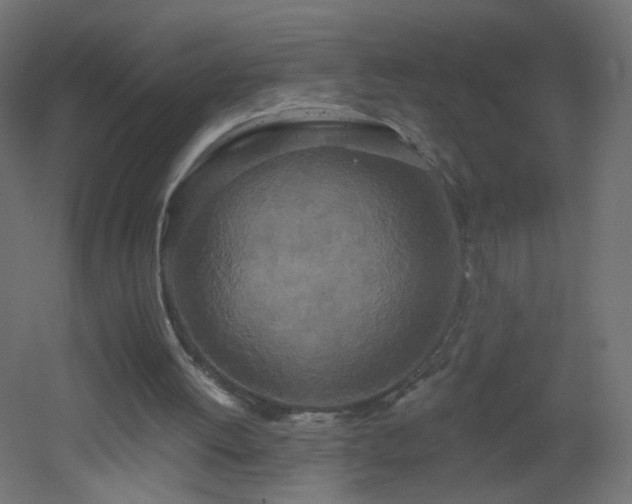 X0000053060052200507111203
