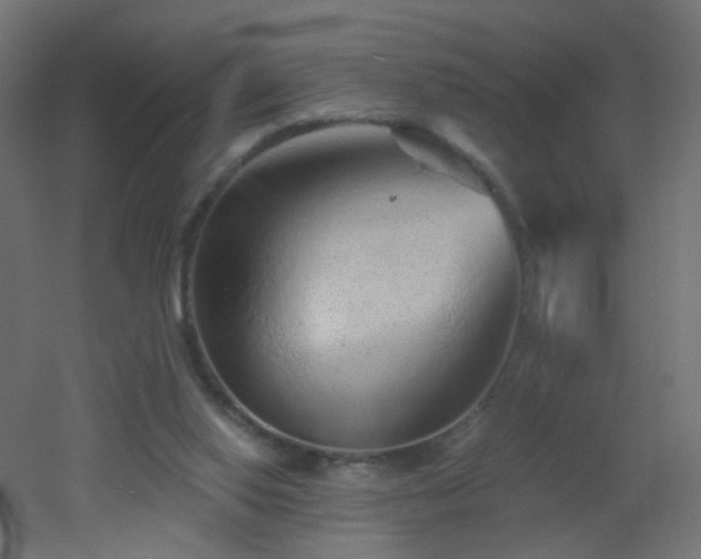X0000053060062200507111203