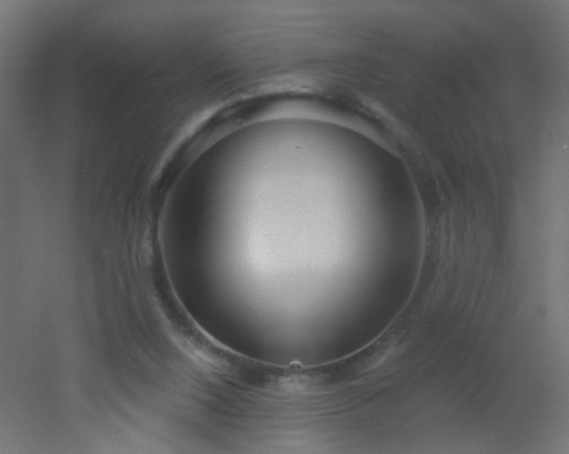 X0000053060064200507111203