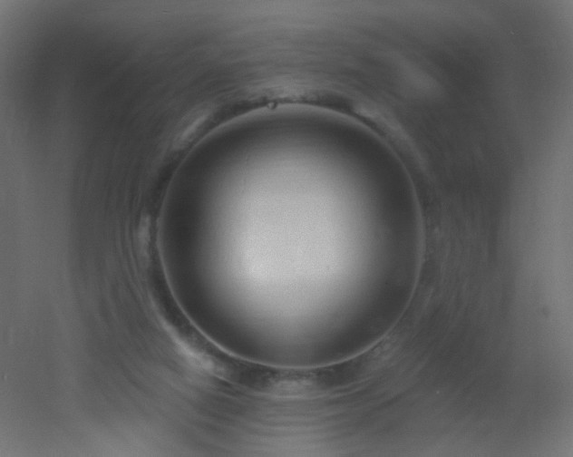 X0000053060066200507111203