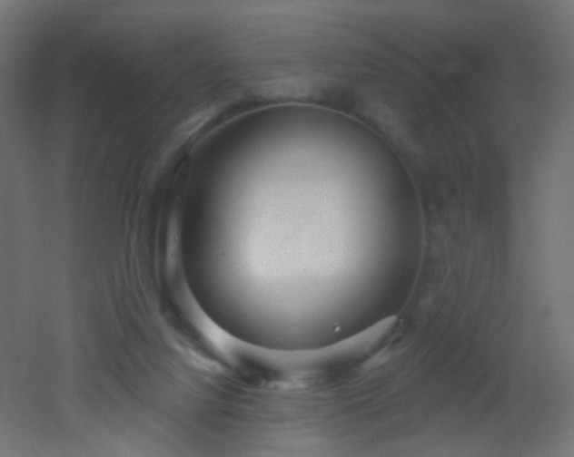 X0000053060068200507111203