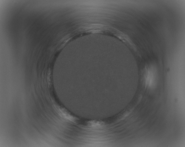 X0000053060073200507111203