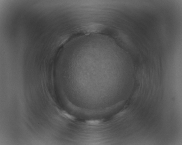 X0000053060076200507111203