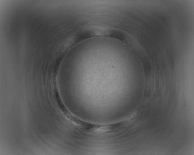 X0000053060078200507111203