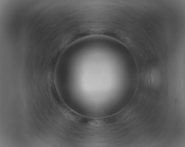 X0000053060079200507111203