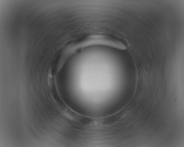 X0000053060080200507111203