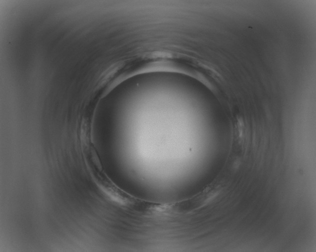 X0000053060092200507111203