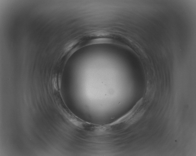 X0000053060096200507111203