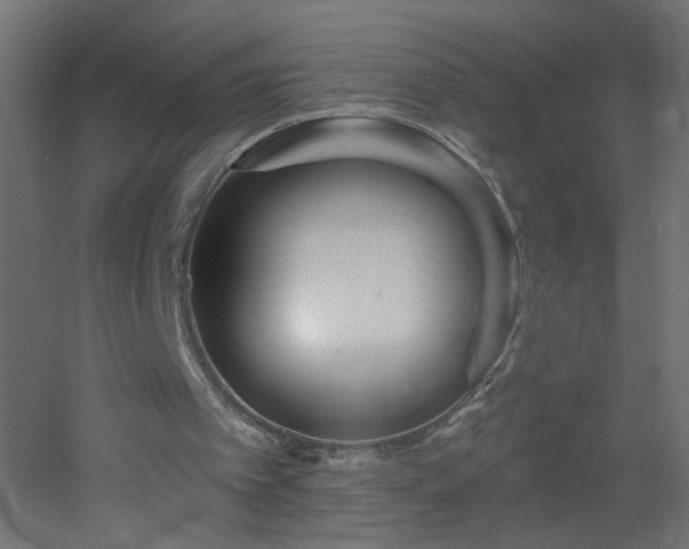 X0000053060097200507111203