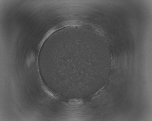 X0000053060099200507111202