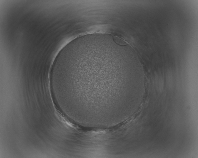 X0000053060100200507111202