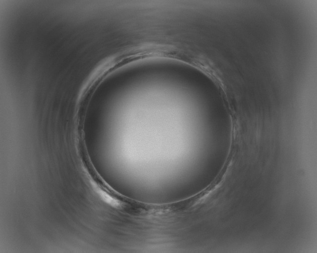 X0000053060101200507111202