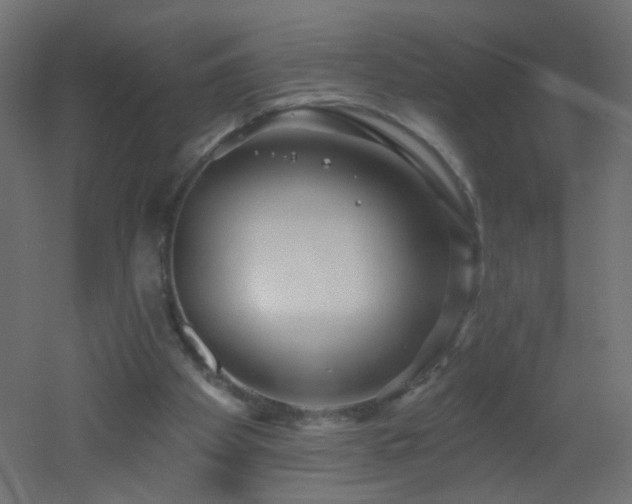 X0000053060105200507111202