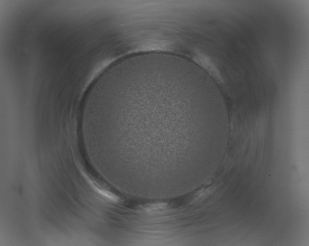 X0000053060108200507111202