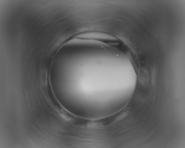 X0000053060109200507111202