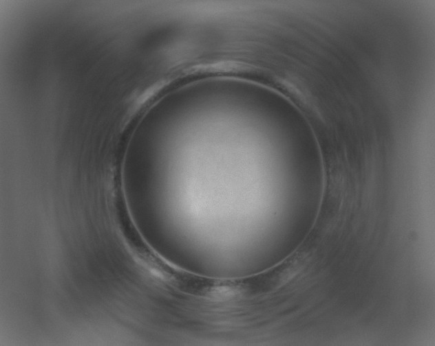 X0000053060111200507111202