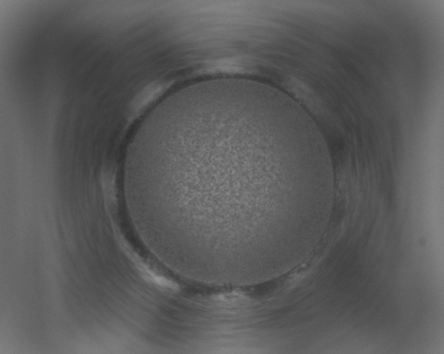 X0000053060112200507111202