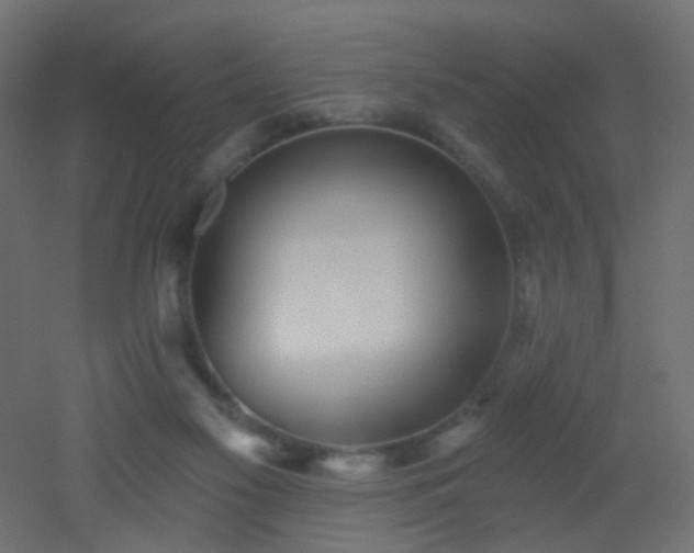 X0000053060117200507111202