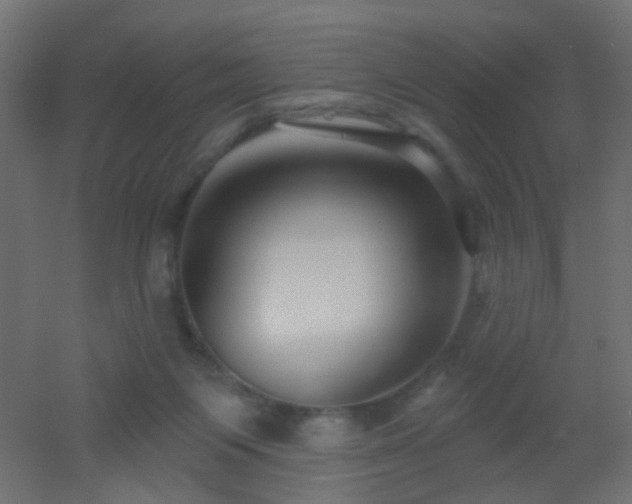 X0000053060119200507111202