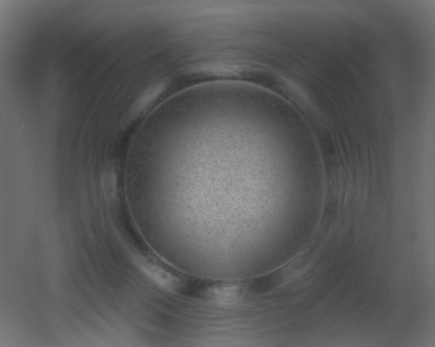 X0000053060120200507111202