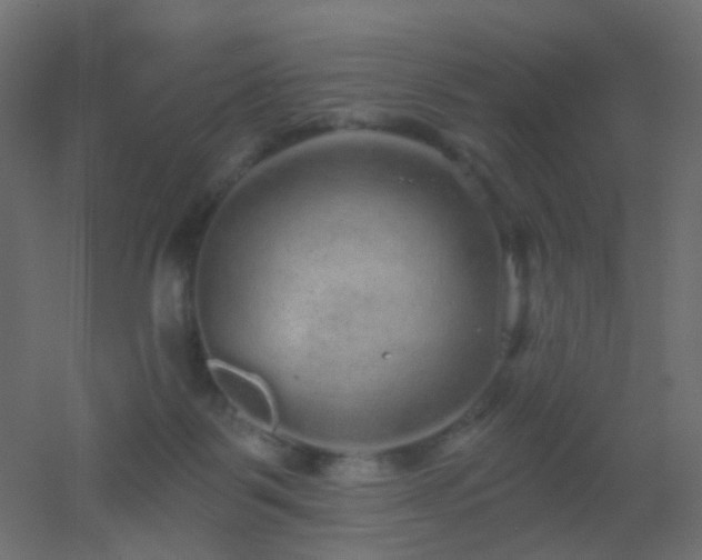 X0000053060123200507111202