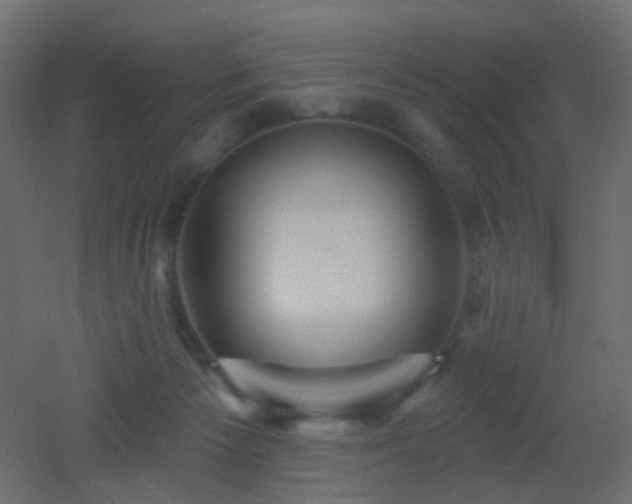 X0000053060125200507111202