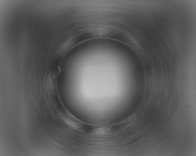 X0000053060126200507111202
