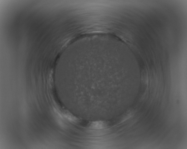 X0000053060127200507111202