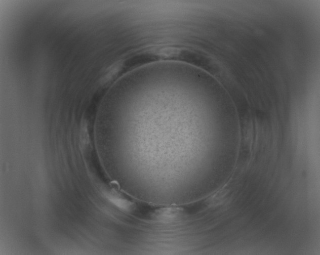 X0000053060128200507111202