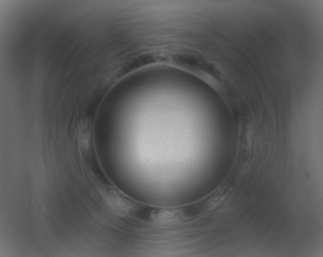X0000053060129200507111202