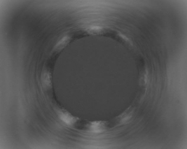 X0000053060130200507111202
