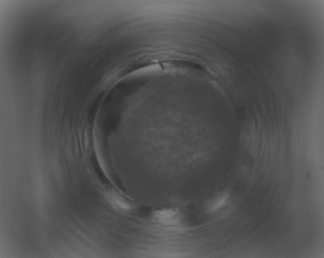 X0000053060139200507111202